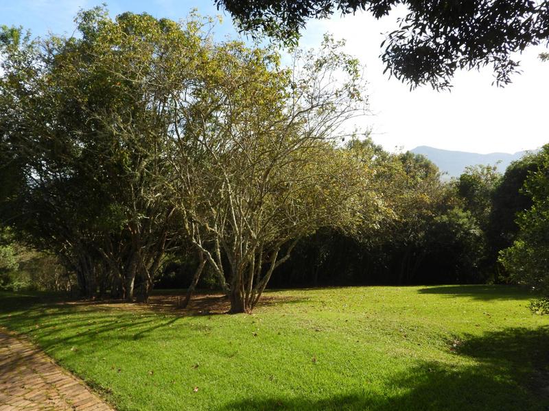 0 Bedroom Property for Sale in Wilderness Western Cape